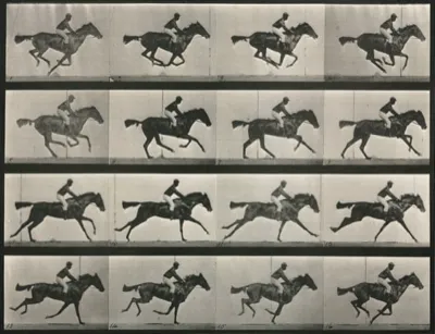 Horse in Motion